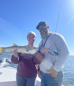 Snook fish caught by angler in Placida