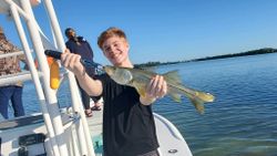 Single snook fish caught while fishing in FL