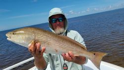 1 fisherman reeling in a 31-inch catch in FL