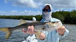 A fisherman holding a large snook in FL