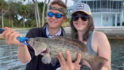 Gag grouper fish caught by two people fishing in FL