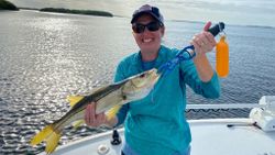 Snook - A big fish caught while fishing in Florida