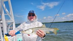 A large snook fish being caught in FL during a fishing trip