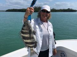 A 17-inch sheepshead fish caught while fishing in Placida