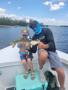 Snook fish caught in FL