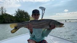A snook fish caught in Placida