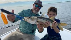 A snook fish caught in Placida while fishing