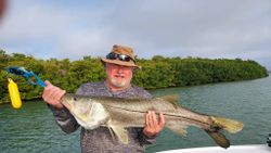 Photograph of a snook, a 29-inch fish, caught while fishing in Placida