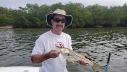 Snook fishing in FL