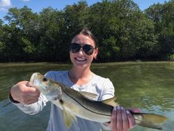 Snook fish caught in Placida