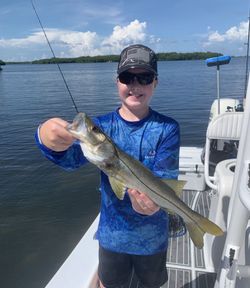 Snook caught while fishing in Placida