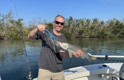 One snook caught while fishing in Placida