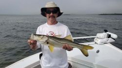 Snook fish caught by angler in Placida