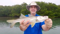 Snook fish caught while fishing in Placida