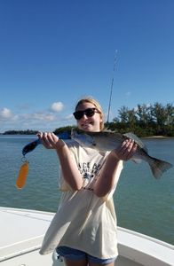 Spotted Weakfish caught while fishing in FL