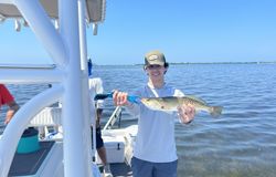 Spotted weakfish caught fishing in FL