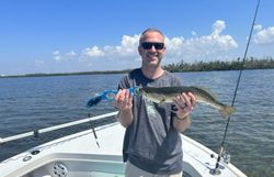 Spotted Weakfish caught in Placida