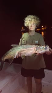 Tarpon fishing in FL