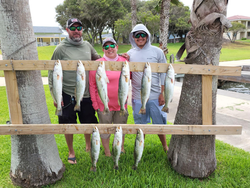 9 spotted weakfish caught in Corpus Christi