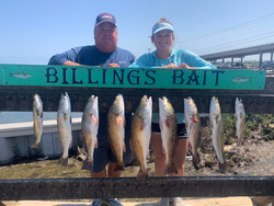 8 redfish and spotted weakfish caught in Corpus Christi