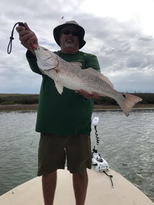 Redfish measuring 26 inches caught fishing in TX