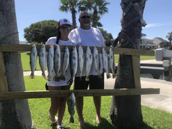 7 spotted weakfish caught in TX