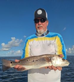 Fish-Species