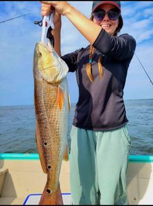 Fish-Species