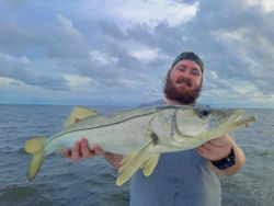 Fish-Species