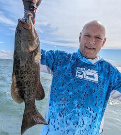 Fish-Species