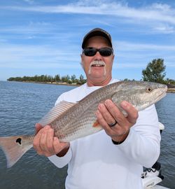 Fish-Species