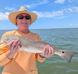 Fish-Species