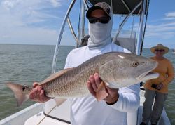 Fish-Species
