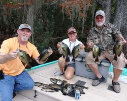 Spec fishing on the Withlacoochie River