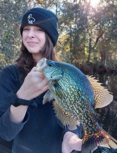 Big spec caught on the Withlacoochie River