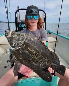 A single angler fishing in FL