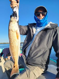 One angler on a fishing tour in FL