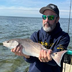 Redfish caught in Citrus County, Florida