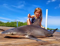 Bull shark fishing in Citrus County