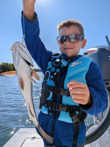 Angler with blue catfish in Citrus County