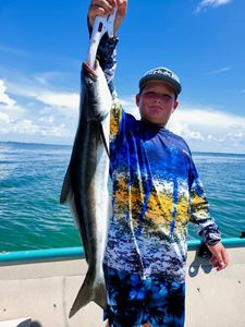 Cobia, a large fish, caught in Citrus County during a fishing tour