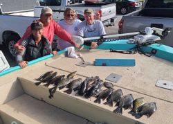 3 fishing tours in Citrus County