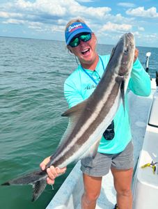 Cobia fish caught during fishing tour in Citrus County