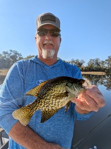 Crappie fishing adventure in Citrus County