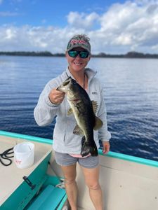 One fisherman reeling in a catch in Citrus County