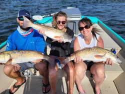 Three big fish caught while fishing and taking tours in FL