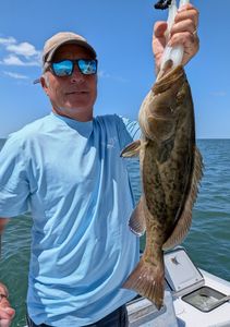A gag grouper caught during a fishing tour in Citrus County