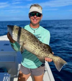 Gag grouper caught by angler in Florida