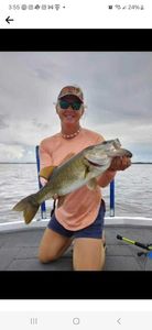 Largemouth Bass caught fishing in FL