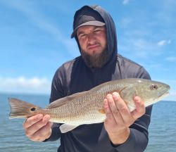 Redfish caught in FL
